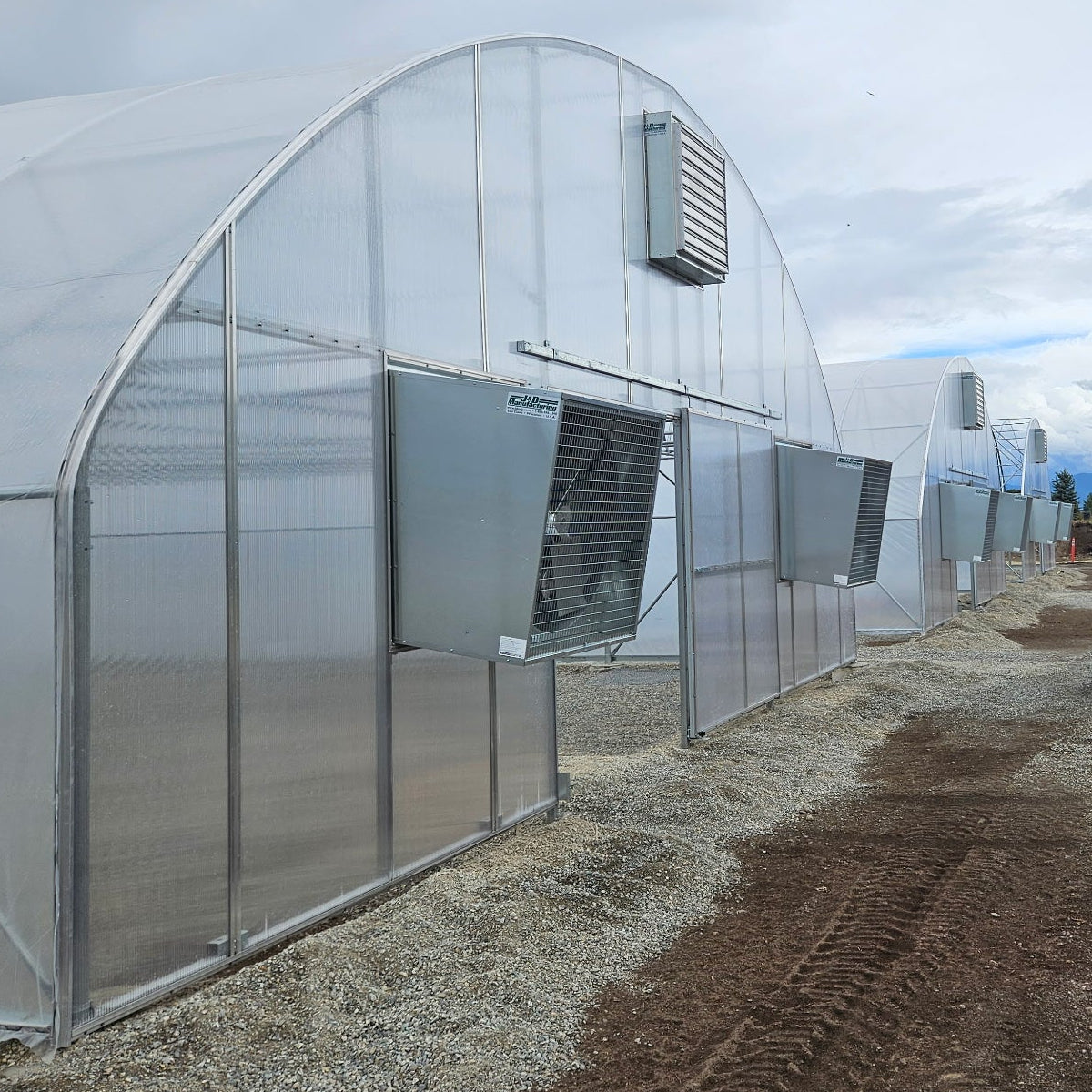 Auto Ventilated Greenhouses