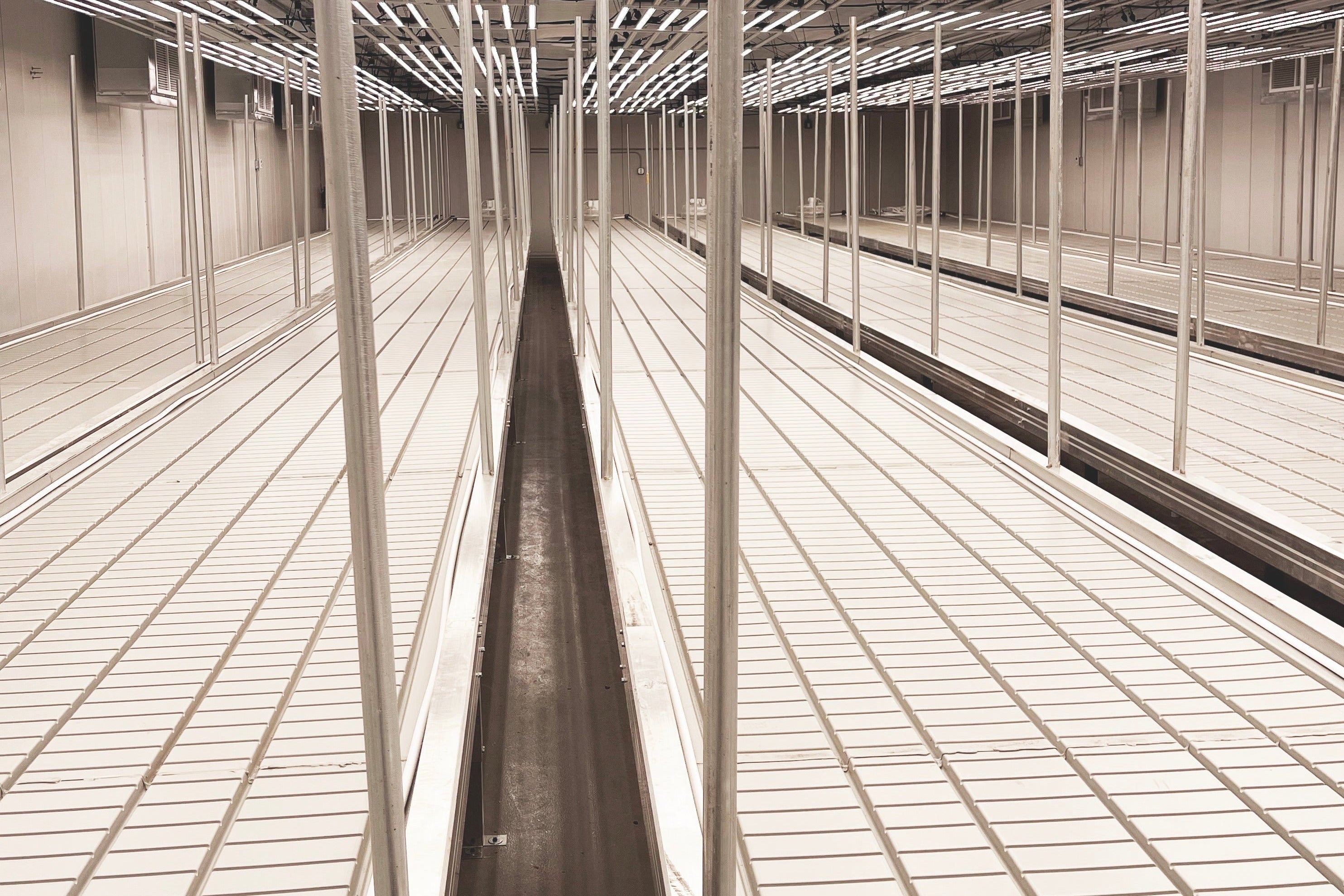 rolling-benches-hortitech-toughest on the market