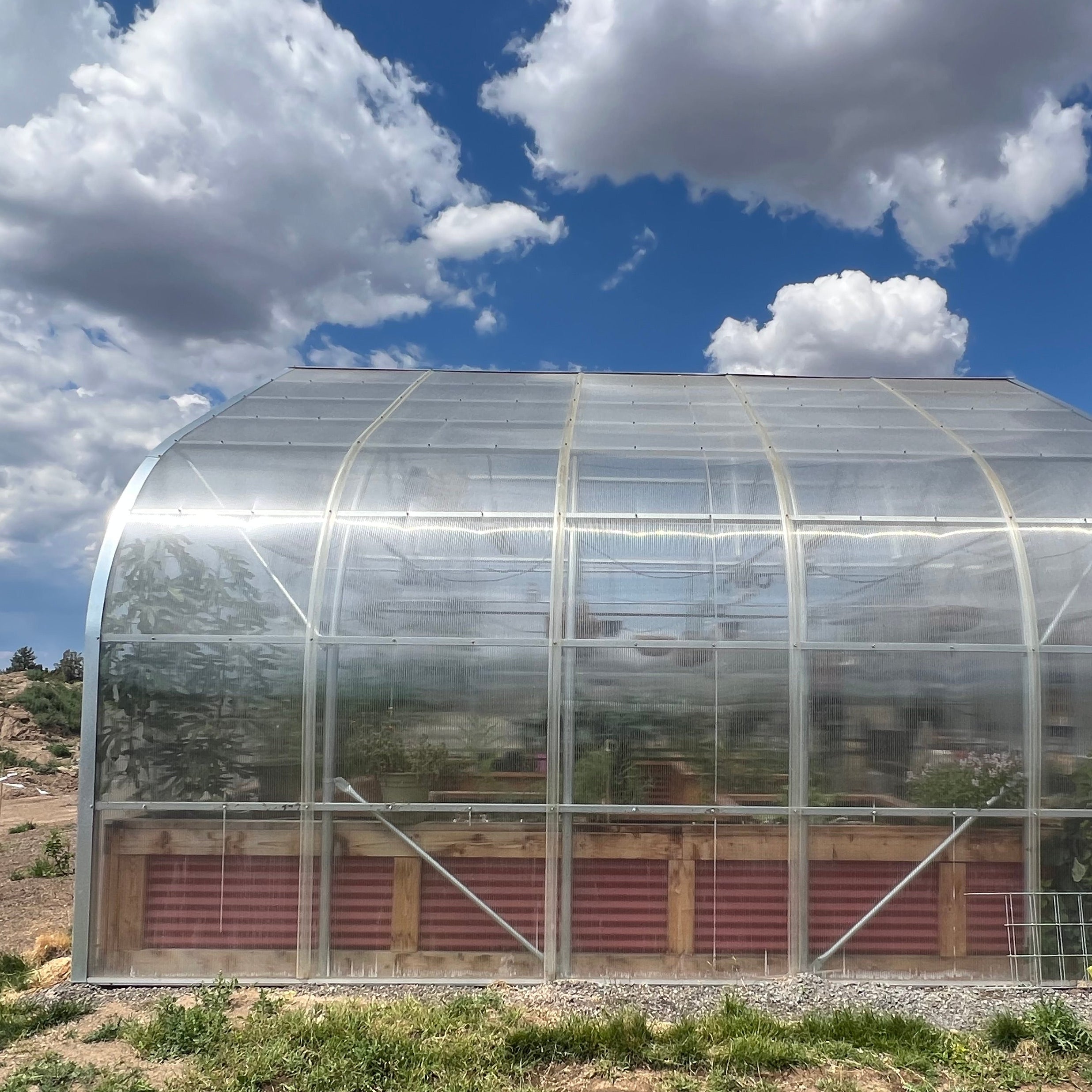 Clear greenhouse structure on a grassy area with a blue sky and clouds in the background.