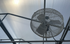 Green Breeze HAF Fans