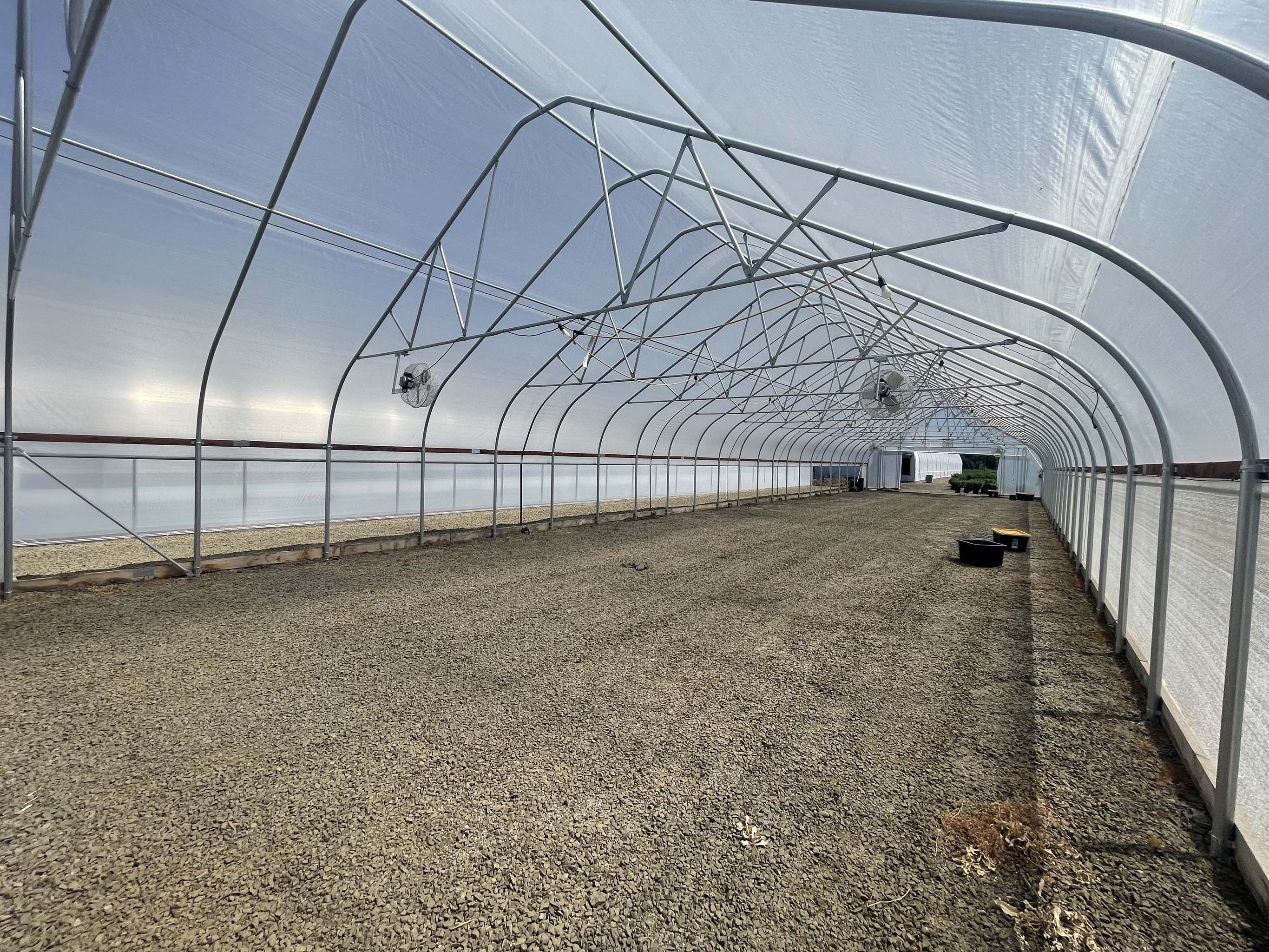 9Mil Heavy-Duty Clear Woven Greenhouse Plastic, 6y UV, Anti-Drip, 195gsm