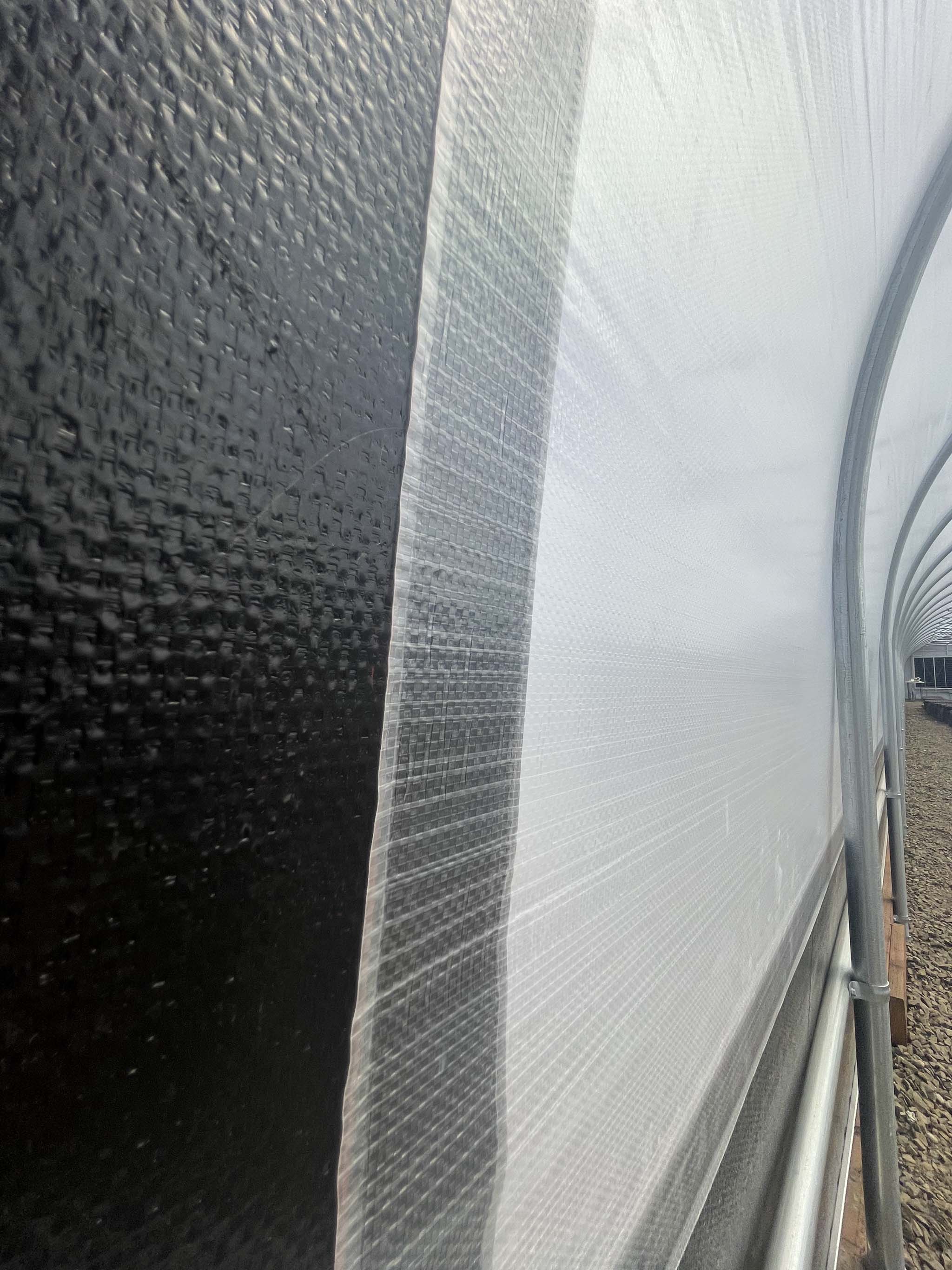 Clear Woven w/ Black Overlaps, woven film with UV protection, 195 gsm