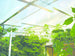 Rooflite Polycarbonate Corrugated Panels 0.8 mm / GRECA / No Drip