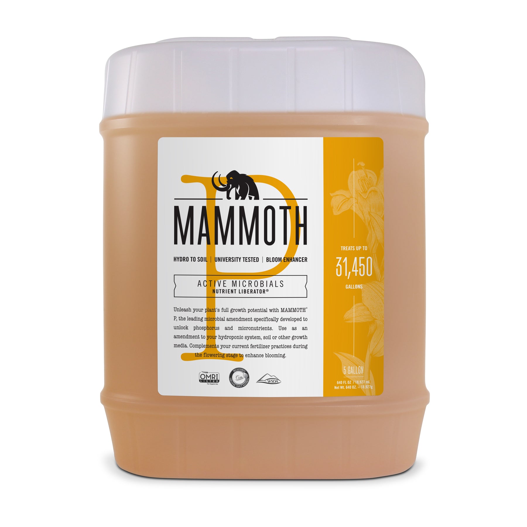 Mammoth Microbes P