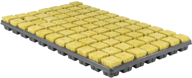 Starter Plugs 77 Cell Tray (18/cs)