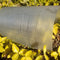 9 mil Armor Clear (AC) Woven Greenhouse Plastic