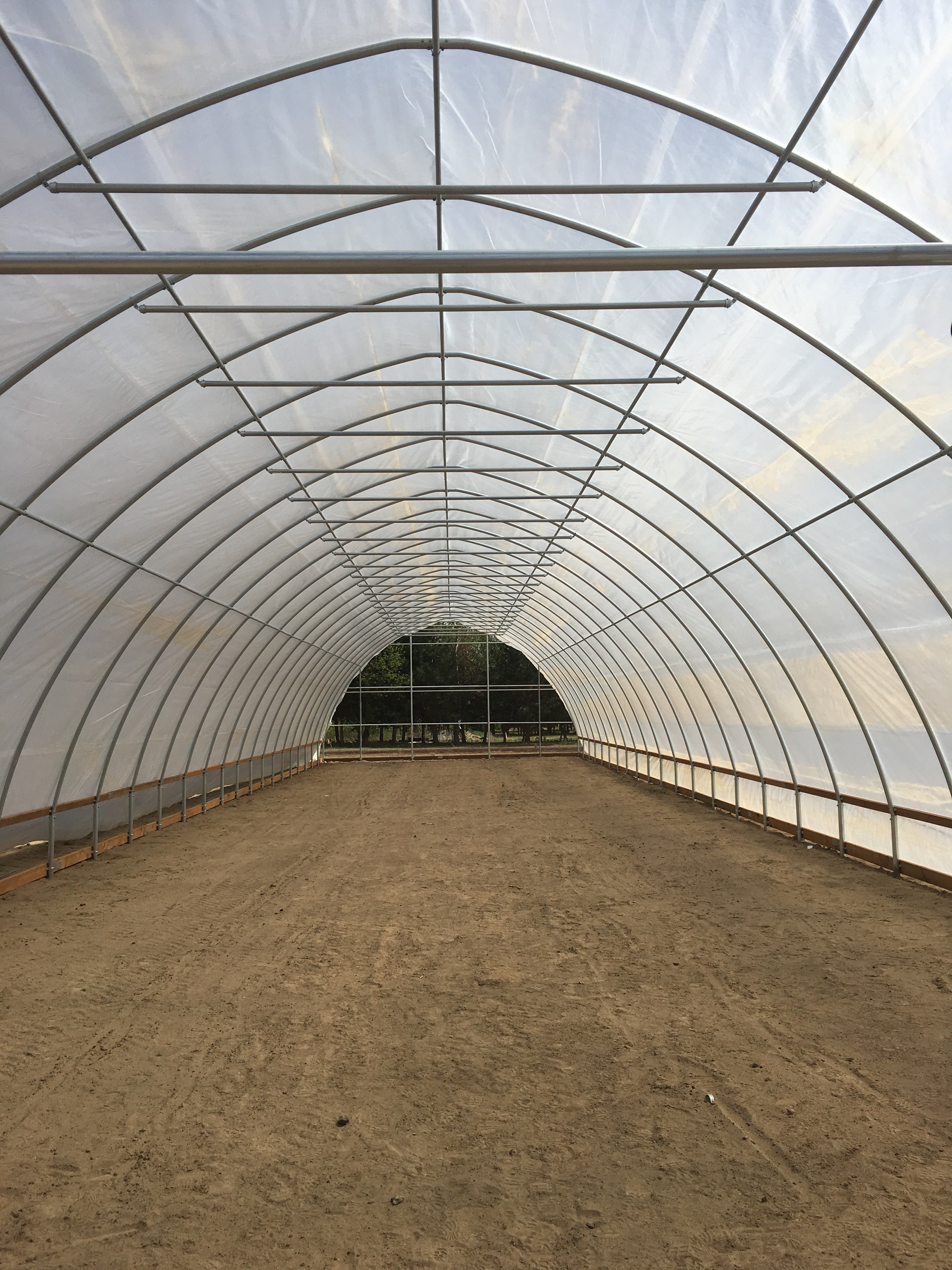 greenhouse frame bows